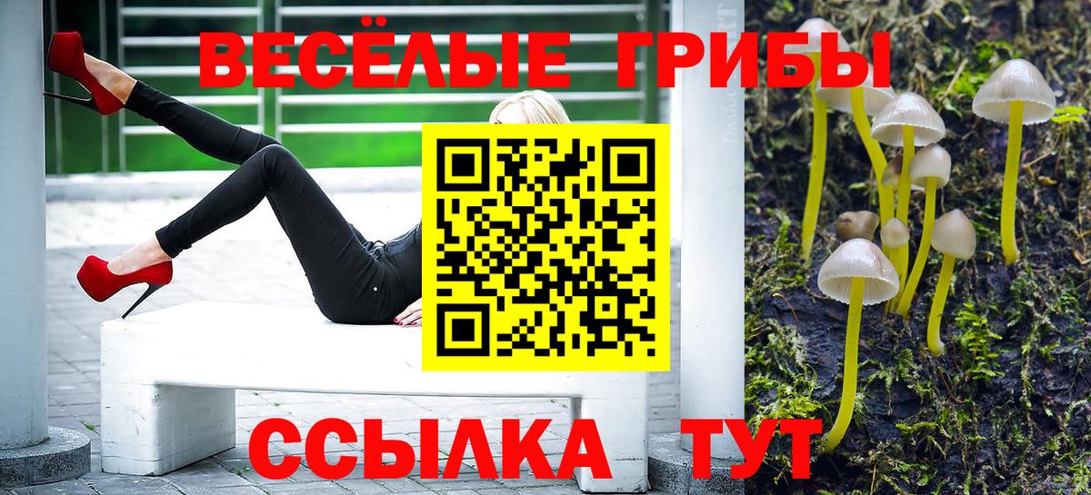 Псилоцибиновые грибы Magic Shrooms Саров