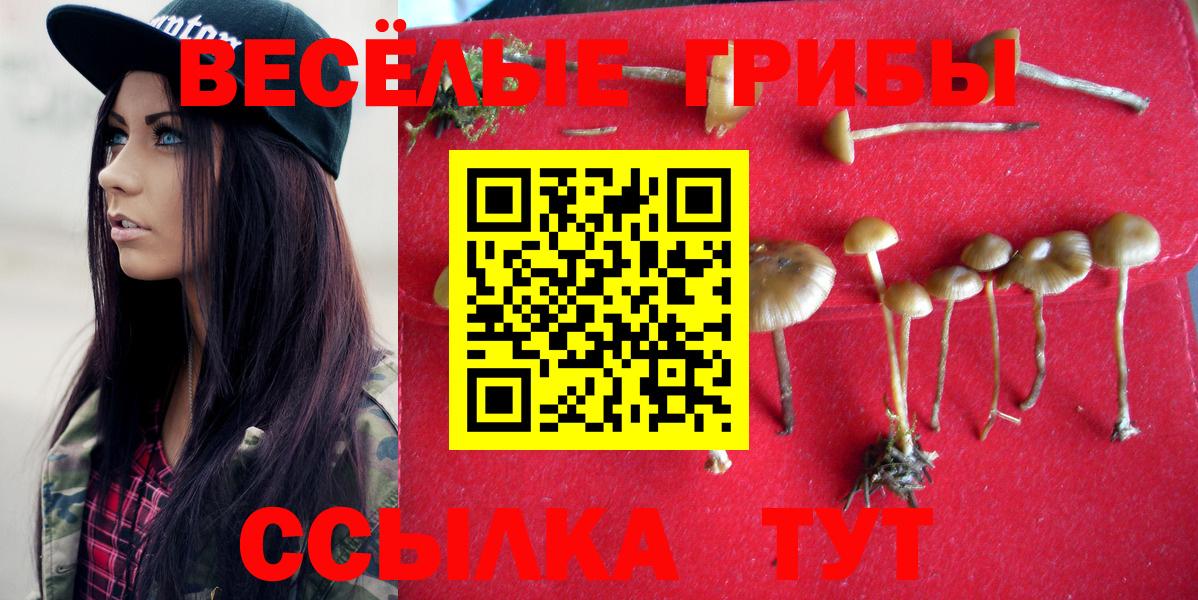Псилоцибиновые грибы мухоморы  Вход с VPN  закладка  Саров 